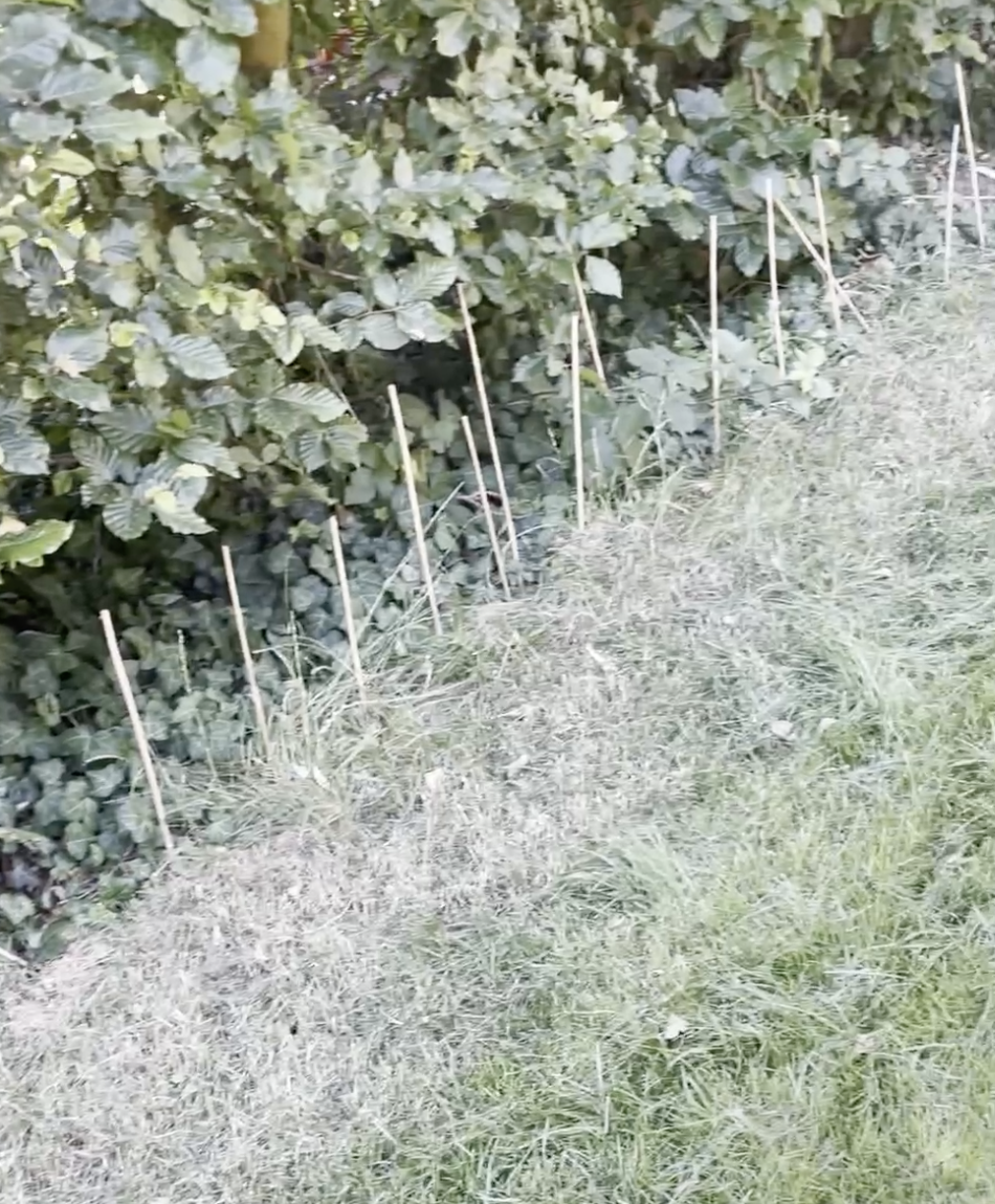 Image showing a stick fence used to contain the mower near a hedge